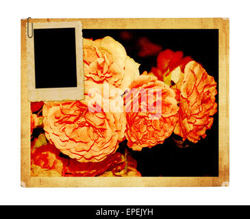 Old vintage card with a bouquet of beautiful pink roses on white isolated background. Stock Photo