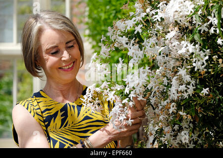 senior woman tending to plants in greenhouse Stock Photo