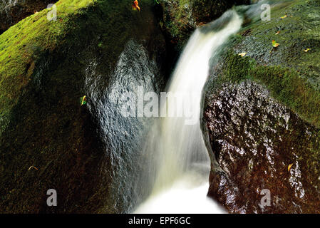 Germany, Bavaria: Cascade in the ravine 'Buchberger Leite' in National Park Bayrischer Wald Stock Photo