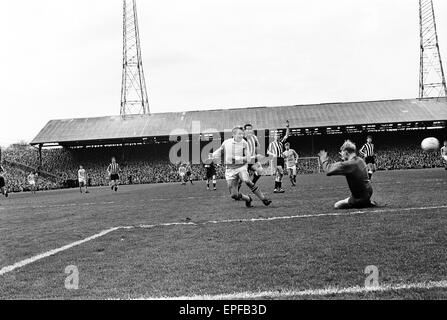 Newcastle Utd v Manchester City 11th May 1968. League Division One match at St James Park.  Francis Lee scores a goal.  Final Score Newcastle 3 Manchester City 4 Stock Photo