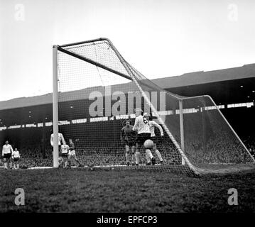 Manchester United footballer George Best scores his sides first goal in the 2-1 League Division One victory over Tottenham Hotspur at Old Trafford. 6th February 1971. Stock Photo