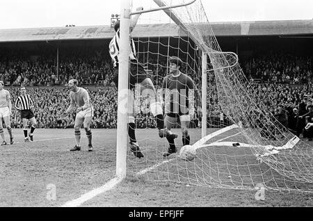 Newcastle Utd v Manchester City 11th May 1968  League Division One Match at St James Park Newcastle Utd Score a goal.  Final Score Newcastle 3 Manchester City 4 Stock Photo