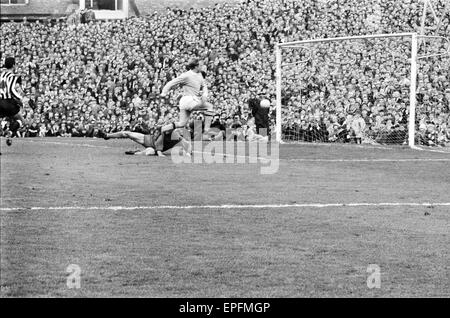 Newcastle Utd v Manchester City 11th May 1968  League Division One Match at St James Park Francis Lee Scores Goal Final Score Newcastle 3 Manchester City 4 Stock Photo