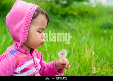 sweet little girl blowing dandelion on the meadow Stock Photo