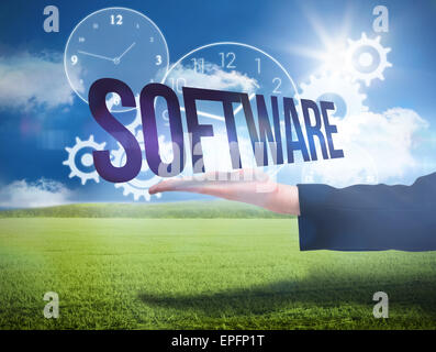 Businesswomans hand presenting the word software Stock Photo