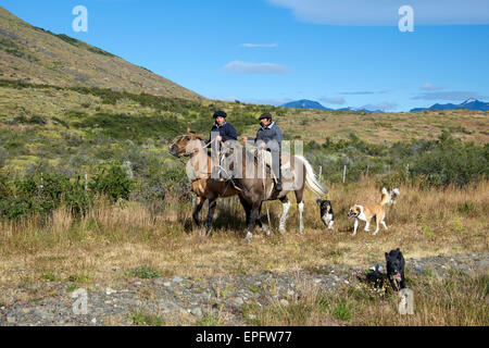 Two Gauchos on horseback with dogs Patagonia Argentina Stock Photo
