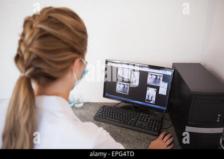 Dental assistant looking at x-rays on computer Stock Photo