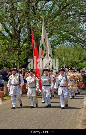 Fife and Drum Band in Colonial Attire, with Flags Stock Photo