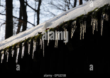 Icicles Stock Photo