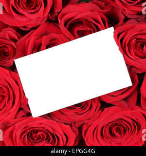 Leeres Schild mit Textfreiraum auf rote Rosen zum Valentinstag, Muttertag oder Geburtstag Stock Photo