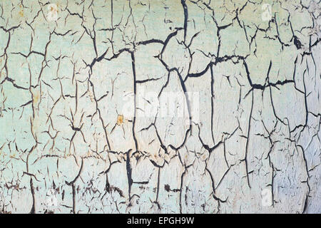 graphic lines on dry textured ceramic background Stock Photo