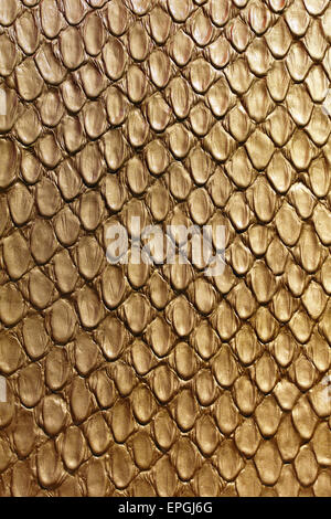 Types Texture Exotic Skin Leather Snake Stock Photo 791937457