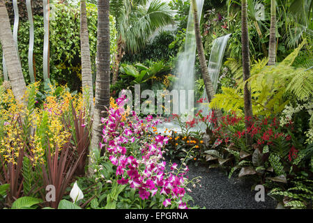 2015 RHS Chelsea Flower Show Press Day, Royal Hospital Chelsea, London, UK. 18th May, 2015. The Hidden Beauty of Kranji by Esmond Landscape and Uniseal garden, designed by John Tan and Raymond Toh, set in a tropical environment and features plants commonly found in the Singapore suburb of Kranji. Credit:  Malcolm Park editorial/Alamy Live News Stock Photo