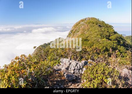 Perfect hiking trails on Doi Luang Chiang Dao wildlife sanctuary high limestone mountains, 7300 feet  above sea level. Stock Photo