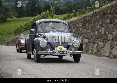 south tyrol classic cars 2014 VW Käfer 1 Stock Photo