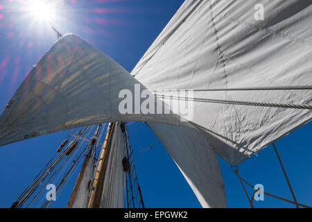 Sunlight on a yacht's sails Stock Photo