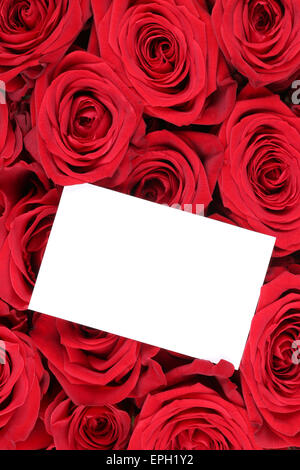 Rosen Blumen zum Valentinstag oder Muttertag mit leerer Karte mit Textfreiraum Stock Photo