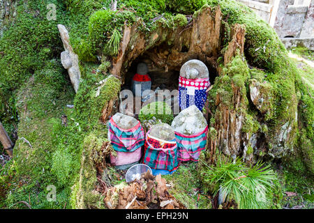 Several bibbed Jizo Bosatsu statues with collection basket placed in a moss covered tree stump at the Okunoin ancient cemetery at Koya-san in Japan. Stock Photo