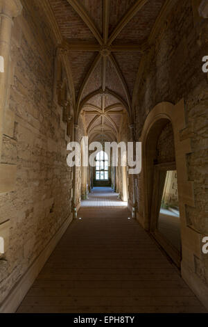 Interior corridor of Woodchester mansion, Gloucestershire, England Stock Photo