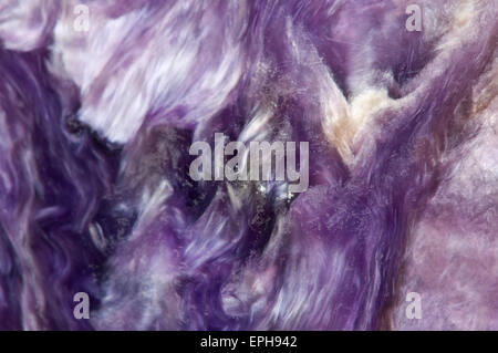 Charoite (Ca, K, Na) 3 Si4O10 (OH, F) H2O. Lilac rare crystal. Macro. Beautiful fantastic background Stock Photo