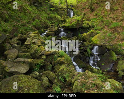 Waterfall near Gibson Mill, Hardcastle Crags. Stock Photo