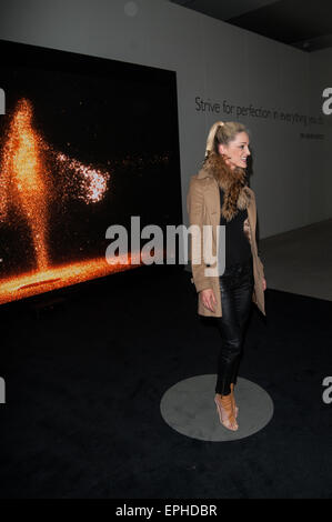 'Inside Rolls-Royce' exhibition - VIP preview held at the Saatchi Gallery  Featuring: Storm Uechtritz Where: London, United Kingdom When: 13 Nov 2014 Credit: Daniel Deme/WENN.com Stock Photo