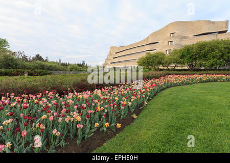 Ottawa Tulip Festival with Canadian Museum of History in the background Stock Photo