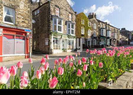 Tulips in bloom along the main street in Pateley Bridge, North Yorkshire, England, April 2015. Stock Photo