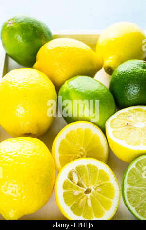 Organic fresh citrus fruit on a white tray. Stock Photo