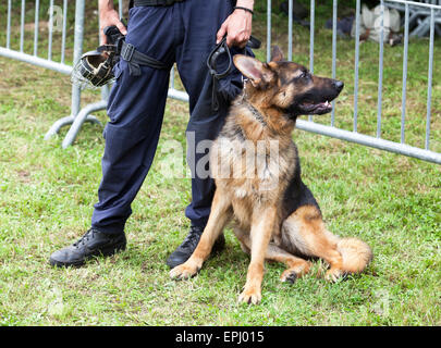 police officer with the german shepherd police dog Stock Photo