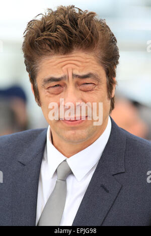 Cannes, France. 19th May, 2015. Benicio Del Toro Actor Sicario, Photocall 68 Th Cannes Film Festival Cannes, France 19 May 2015 Dit78730 Credit:  Allstar Picture Library/Alamy Live News Stock Photo