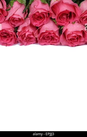 Rosen Blumen zum Valentinstag oder Muttertag Freisteller mit Textfreiraum Stock Photo