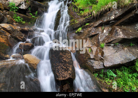 Spring rill flow. Nature composition. Stock Photo