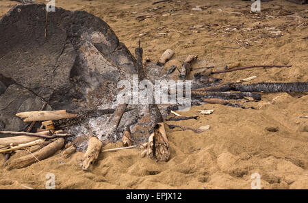 Remains of campfire on sandy beach Stock Photo