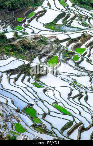 Amazing abstract texture of rice terraces fields with sky colorful reflection in water. Ifugao province. Banaue, Philippines UNE Stock Photo