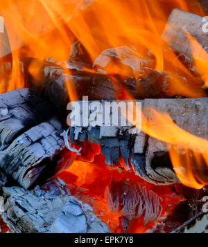 crest of flame on burning wood Stock Photo