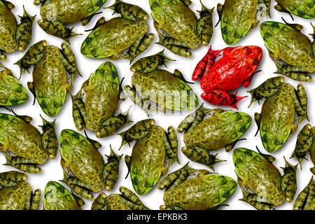 Individuality concept as a group of green frogs with one individual red frog as a business symbol for leadership and independent thinking and attitude as a different nonconformist rebel thinker. Stock Photo