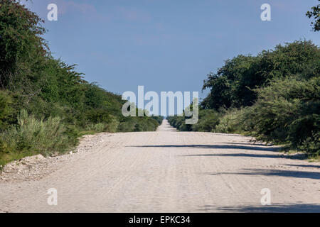 Road in Etosha National Park, Namibia, Africa Stock Photo