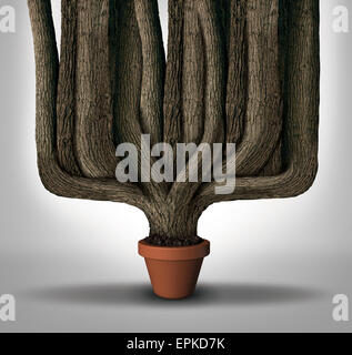 Exceed expectations business concept or maximum potential and outperform metaphor as a small flower pot with a giant expanding tree trunks growing with limited resources. Stock Photo