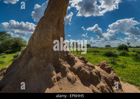 Large termite mound, Okonjima, Namibia, Africa Stock Photo