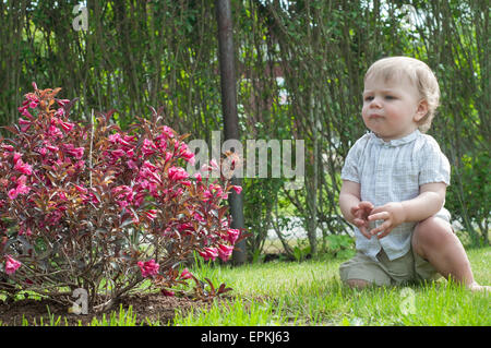 Little baby boy near pink bush Stock Photo