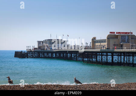 Seagulls on shingle beach in front of Worthing Pier Stock Photo