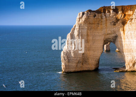 Falaise d'Amont cliff at Etretat, Normandy, France, Europe