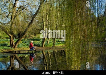 A woman and a small dog standing on a jetty by a lake. Stock Photo