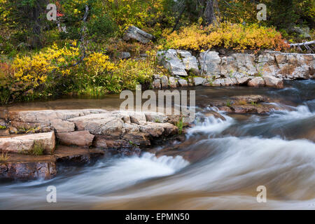 Falls colours and foliage along the Upper Provo River. Stock Photo