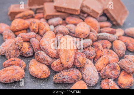 A pile of cocoa beans, in front of chocolate Stock Photo