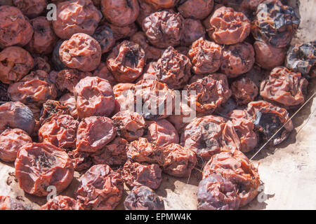 A big pile of brown, rotten apples Stock Photo