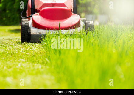 Lawn mowing in sunshine. Stock Photo