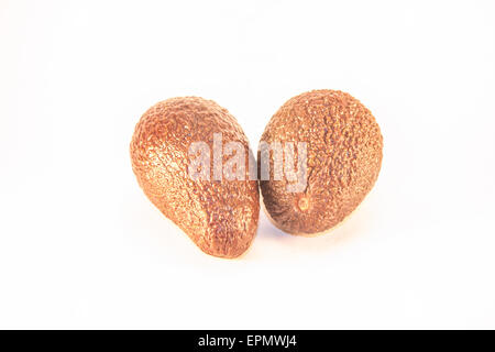 Two brown avocados, isolated on white background Stock Photo