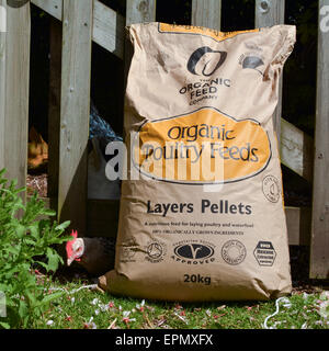 Sack of organic poultry feed in domestic garden next to chicken run - a white chicken has its head underneath the gate Stock Photo